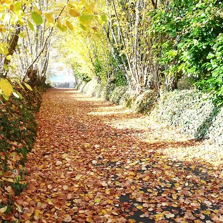 De Charme Proche Le Mans Avec Jardin, Parking, Et Bien-etre - Fr-1-410-205 *