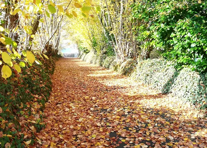 De Charme Proche Le Mans Avec Jardin, Parking, Et Bien-être - Fr-1-410-205 *